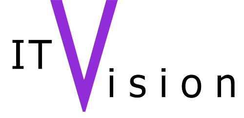 IT Vision logo